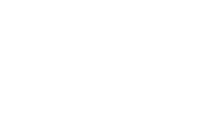steele insurance